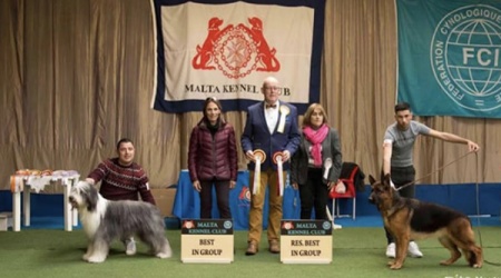 Kennel Club Malta 2019